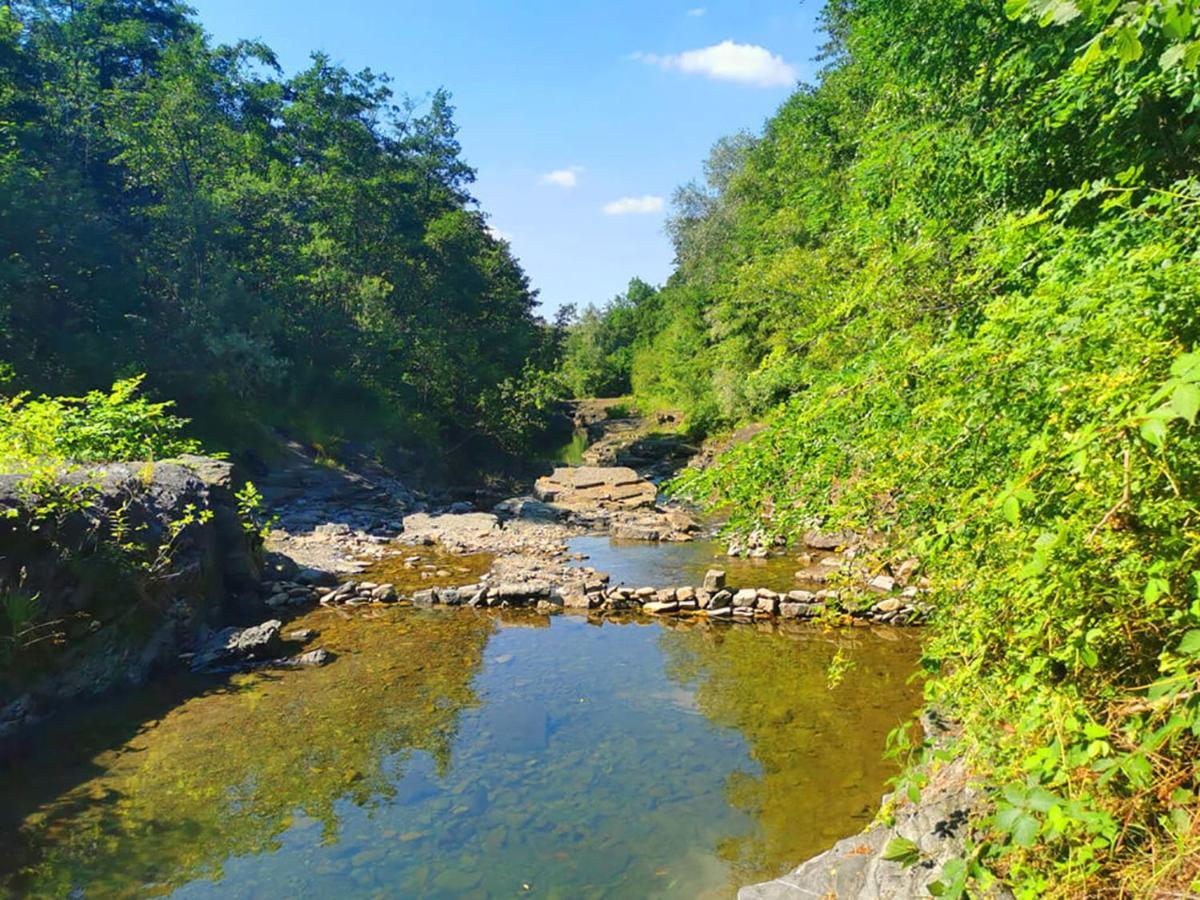 Aloha Glamp - Okragle Domki Przy Rzece - Balia I Sauna - Energylandia Zagornik Kültér fotó