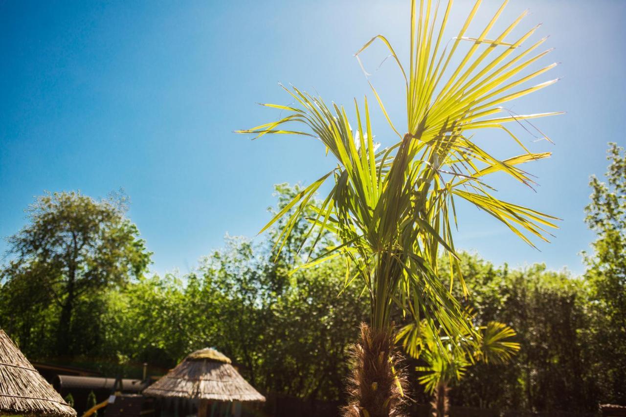 Aloha Glamp - Okragle Domki Przy Rzece - Balia I Sauna - Energylandia Zagornik Kültér fotó